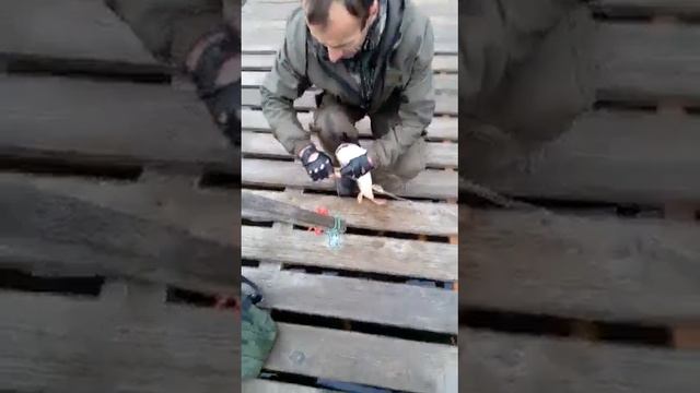 15.10.2022 смотреть онлайн