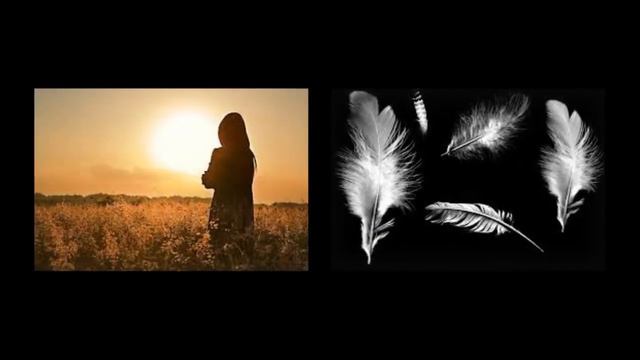 Ой,летіли дикі гуси.Піккардійська терція.Сл.Ю.Рибчинського,музика І.Поклада. смотреть онлайн
