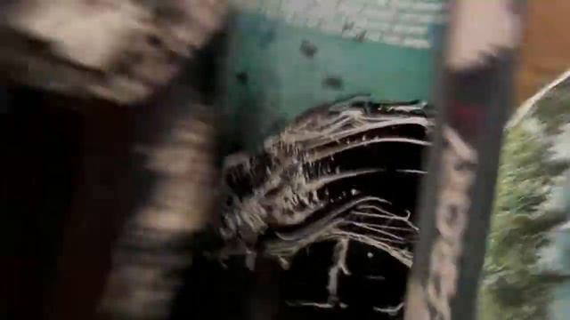 UNBOXING "FARCRY 3" POSTER/HUNTING GUIDE смотреть онлайн
