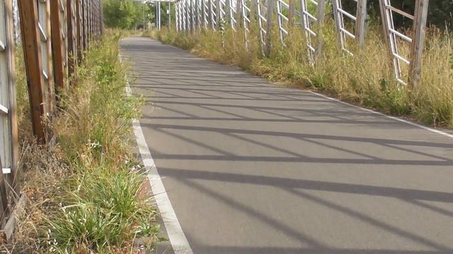 Коньковые, классические лыжероллеры, полумарафон, 10х2300 м., масс-старт, Марьино, 11.09.2022 смотреть онлайн