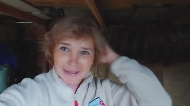 Из города в деревню. Хроника дня. смотреть онлайн