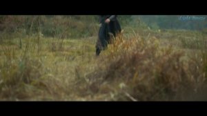 Ветер Лояна 1 сезон 11 серия