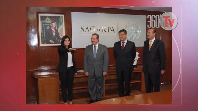 PATRICIA ORNELAS DIRECTORA SIAP смотреть онлайн