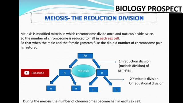 CELL CYCLE AND CELL DIVISION|| PART-2 ICSE CLASS X || BIOLOGY PROSPECT смотреть онлайн