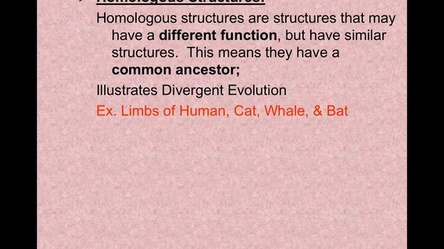 QT Evolution:Natural Selection Notes part 1 смотреть онлайн
