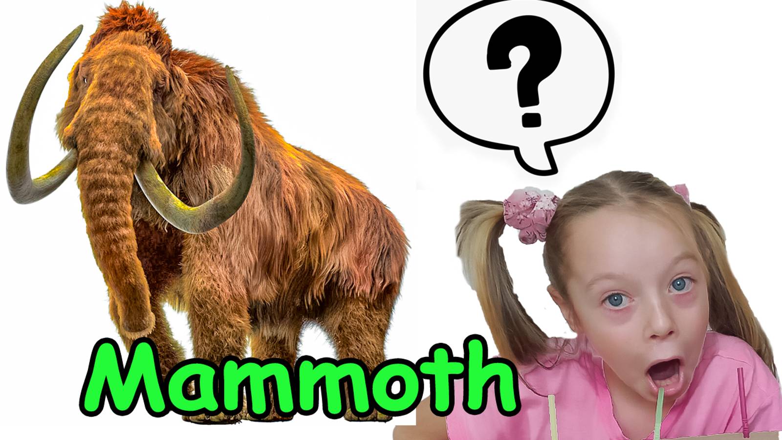 Мамонт Мир дикой природы Полина рассказывает об уникальном животном