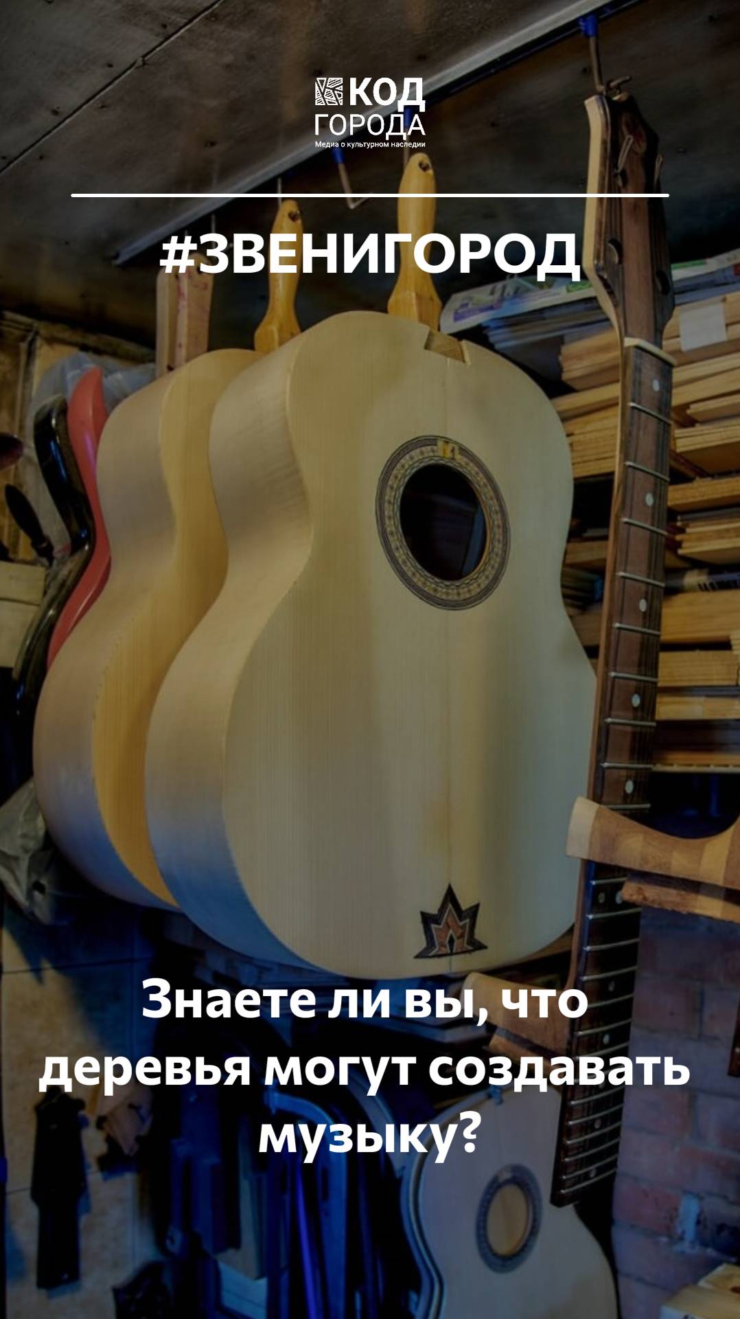 Вы когда-нибудь задумывались, что деревья могут создавать музыку? #Звенигород