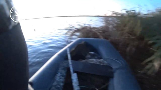 Охота с Ата Нео смотреть онлайн