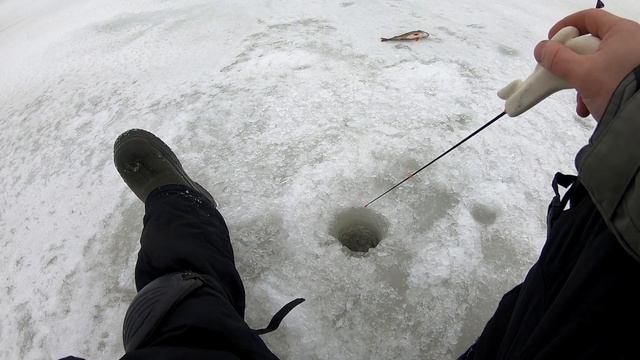Ловля окуня на Ладоге. Рыба оторвала мне блесну. Максимальная скорость на буксировщике с 4мя людьми. смотреть онлайн