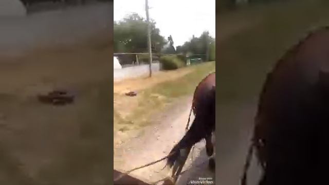 Х.Раздольный смотреть онлайн