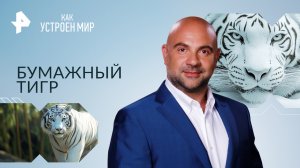 Бумажный тигр — Как устроен мир с Тимофеем Баженовым (13.12.2023)