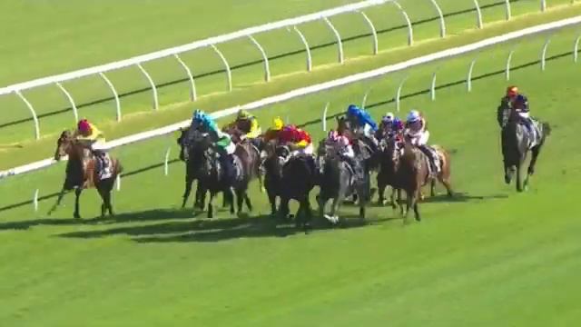 My Tips - 2024 Golden Slipper | George Ryder | The Galaxy | Rosehill Guineas | Ranvet Stakes! смотреть онлайн