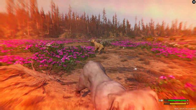 Kill All Animals Without Weapons - Far Cry New Dawn 4K 60 FPS (HD Texture And Max Settings) смотреть онлайн