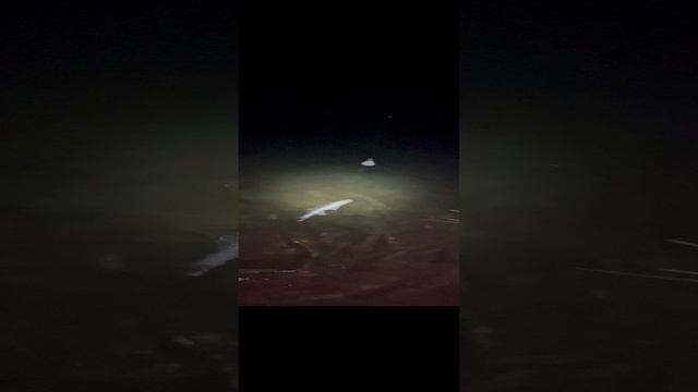 Поимка судака