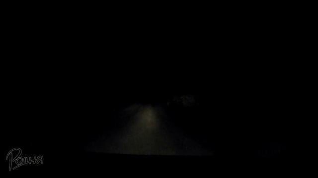 Заяц или лиса смотреть онлайн