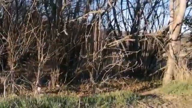 Tartufi 2020 . смотреть онлайн