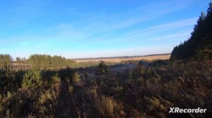 Охота на зайца