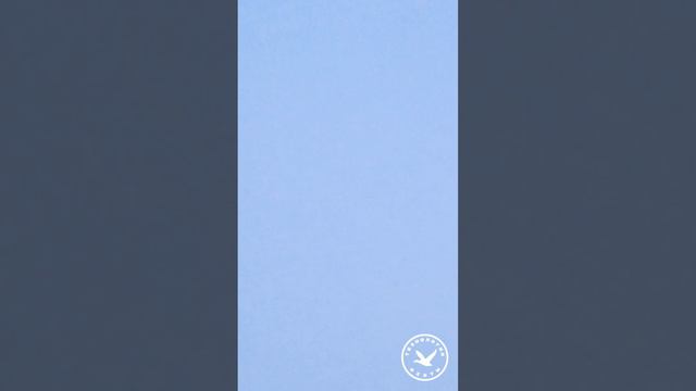 Охота на ворону зимой и ружьё Зауер 8 смотреть онлайн