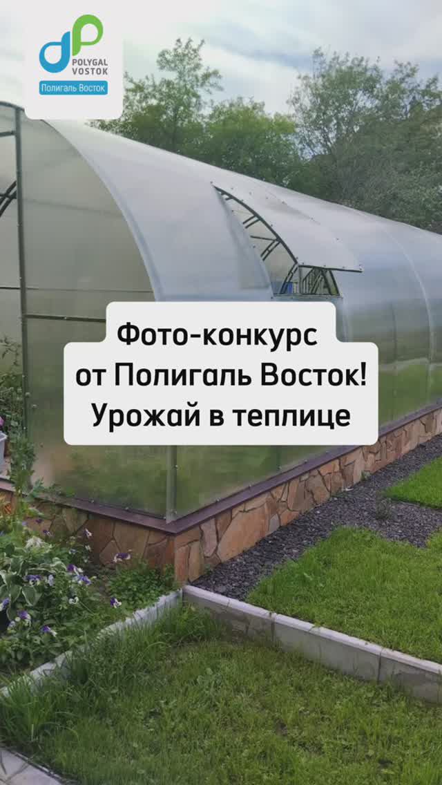 🍅ФОТОКОНКУРС «Урожай в теплице Полигаль Восток»🌿 смотреть онлайн