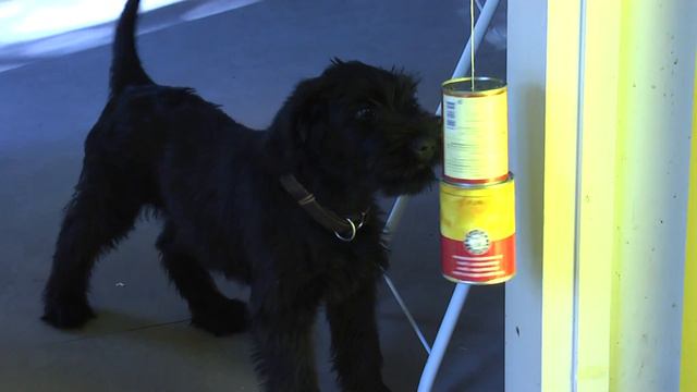 Muisto1 смотреть онлайн