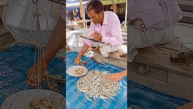Amazing fish scenes || fishing fish || Top 10 Fishing Videos 66 смотреть онлайн