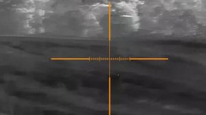 GUIDE TR450. Косули 250-300 метров. охота тепловизор