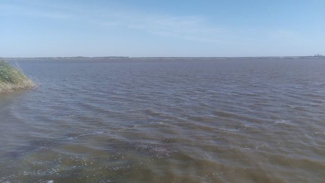 Берег реки природа VID_20240923_093613.mp4