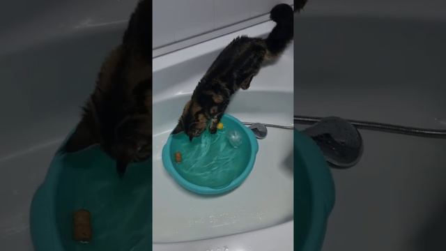 Матильда и Вода! смотреть онлайн