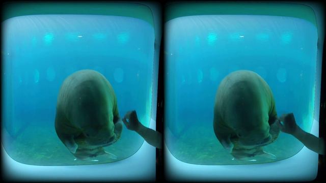 VID 20240703 101051 00 233