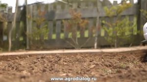 Аккумуляторный культиватор Alpina / Stiga SRC 48 AE