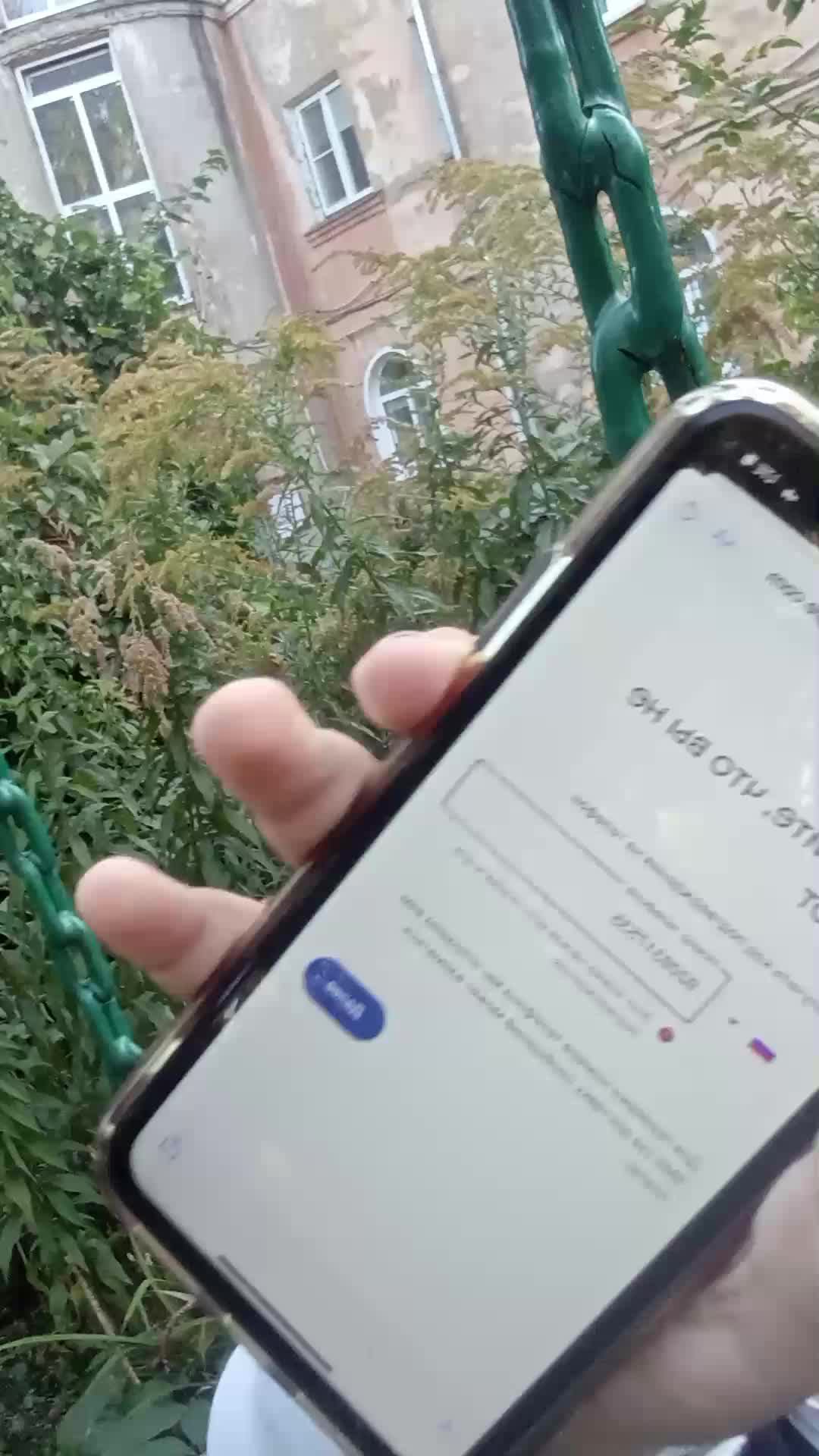 кщша смотреть онлайн