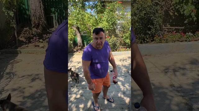 Международный тур смотреть онлайн