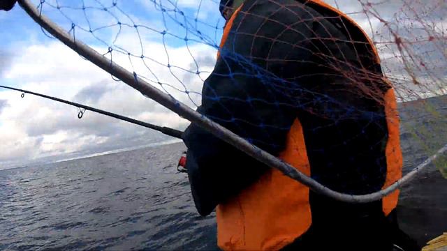 Рыбалка на Ладоге 06.07. Вырвались между непогодой. смотреть онлайн