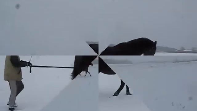 2011 01 22 Сид и Афон на поле смотреть онлайн