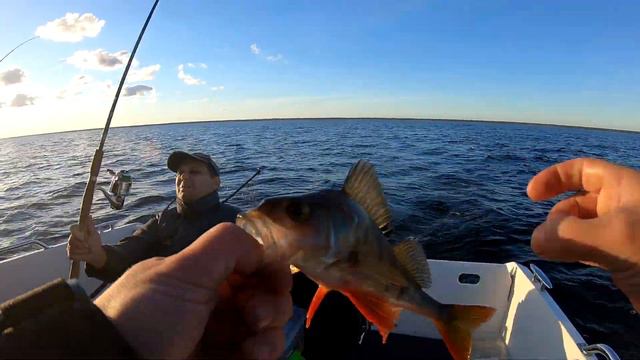 Рыбалка на Ладоге с комфортом. Катер Parker 770 weekend. смотреть онлайн