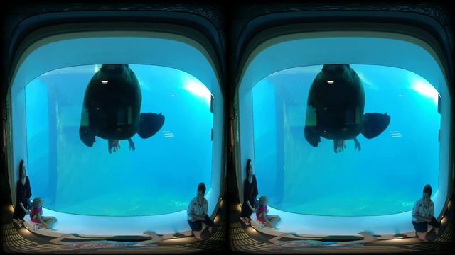 VID 20240703 100808 00 230