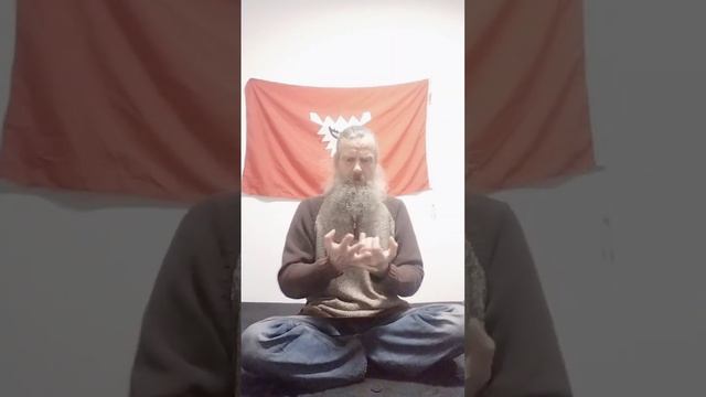 ke qiu si cun wen zai ma tai diao gan xun gan xun te si ke duo si te te hai she te xu смотреть онлайн