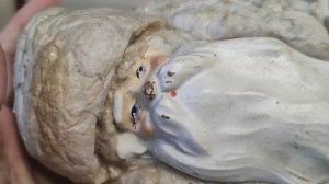 Редкий Дед Мороз из 50-х. Посылки из прошлого.