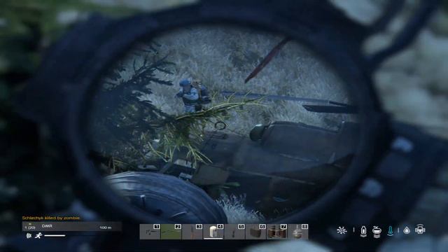 DayZ 2024 01 13 02 13 39 04 DVR Trim смотреть онлайн