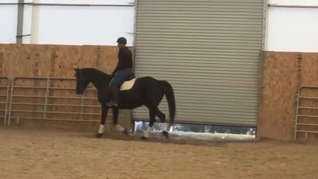 De Kara - Daughter of De Laurentis смотреть онлайн