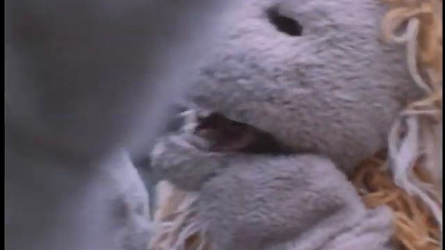 Love Is All - Roger Glover and other musicans смотреть онлайн