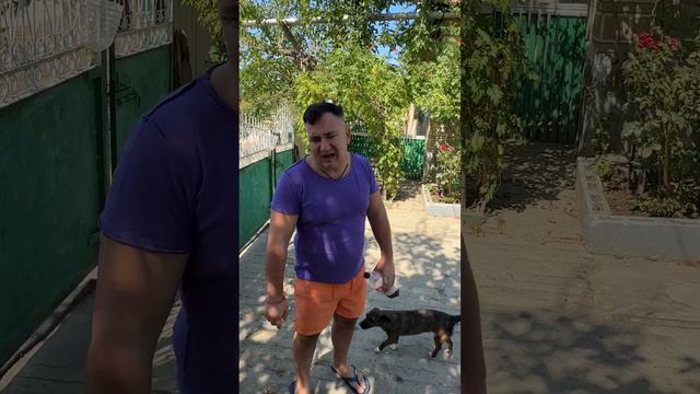 Болгарский подвал смотреть онлайн