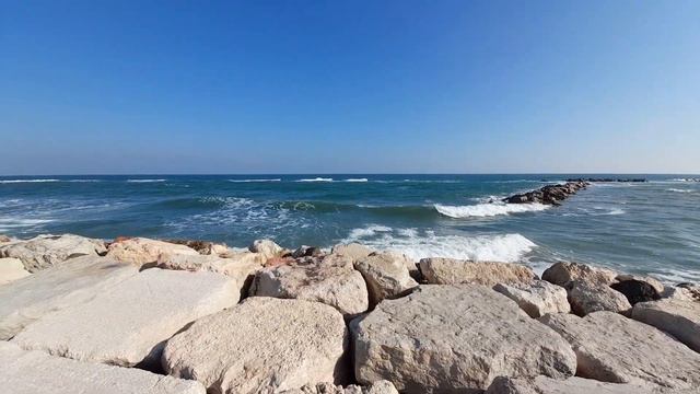 PALLA di POMODORO a Pesaro смотреть онлайн