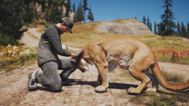Comments [Peaches] | Far Cry 5 смотреть онлайн