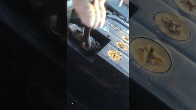 ланос в -30 не заводится