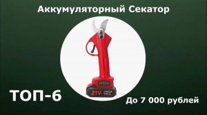 ТОП-6. Аккумуляторный секатор до 7 000 рублей