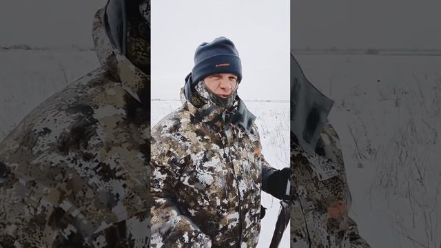 Охота и патроны. Лучший способ быстро почистить ружье на охоте на зайца смотреть онлайн