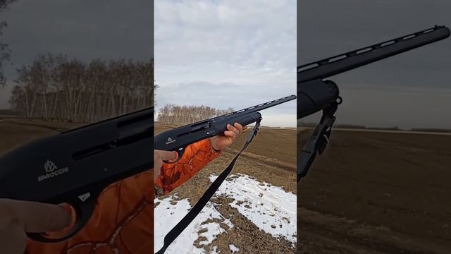 5 патронов полуМАГНУМ замедленно на Marocchi iFirst смотреть онлайн