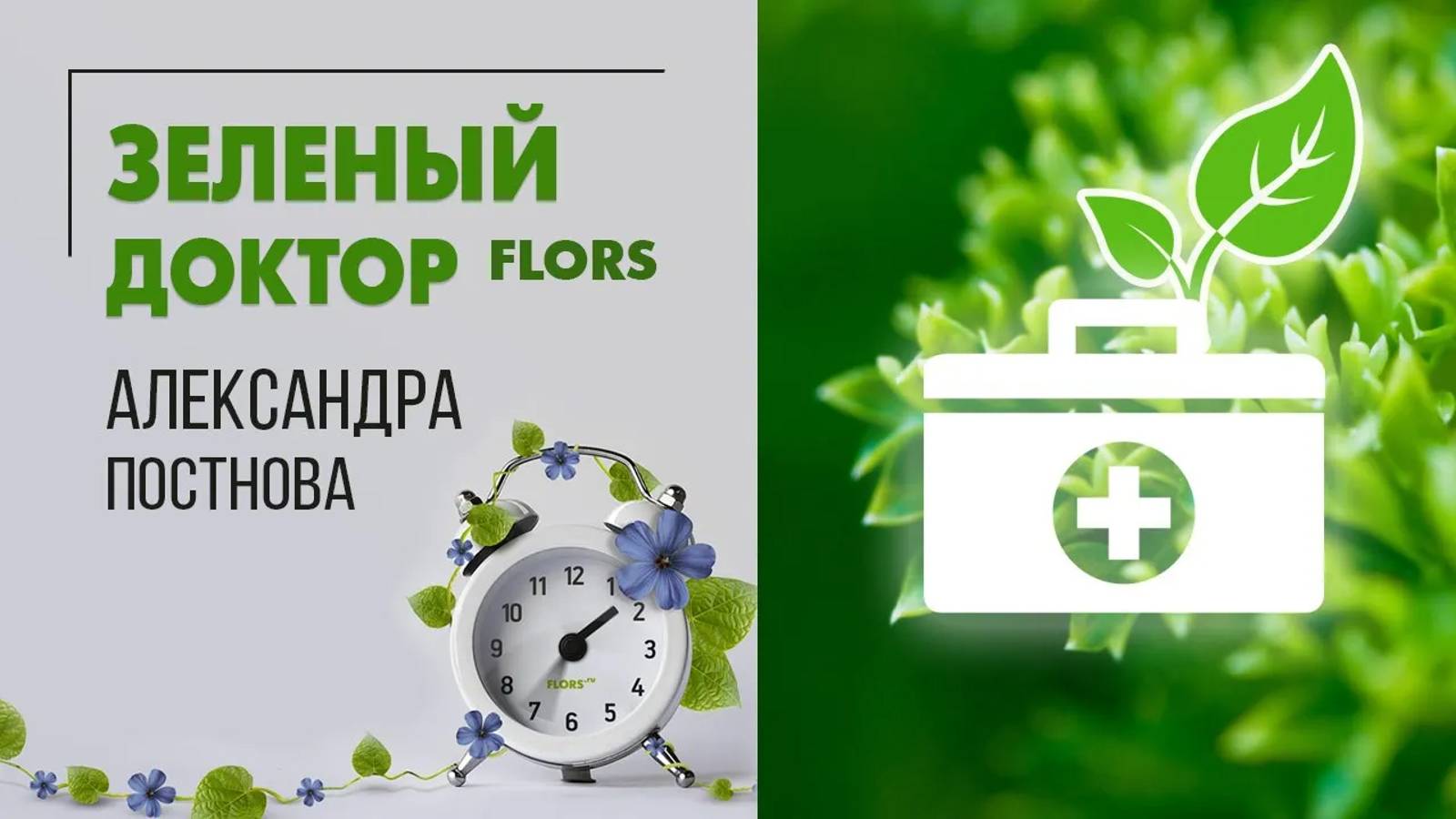 Комнатные растения тоже болеют. Что такое услуга Зеленый доктор и как это поможет вам решить вопрос.