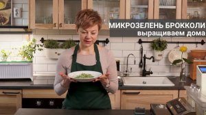 Выращиваем микрозелень брокколи дома